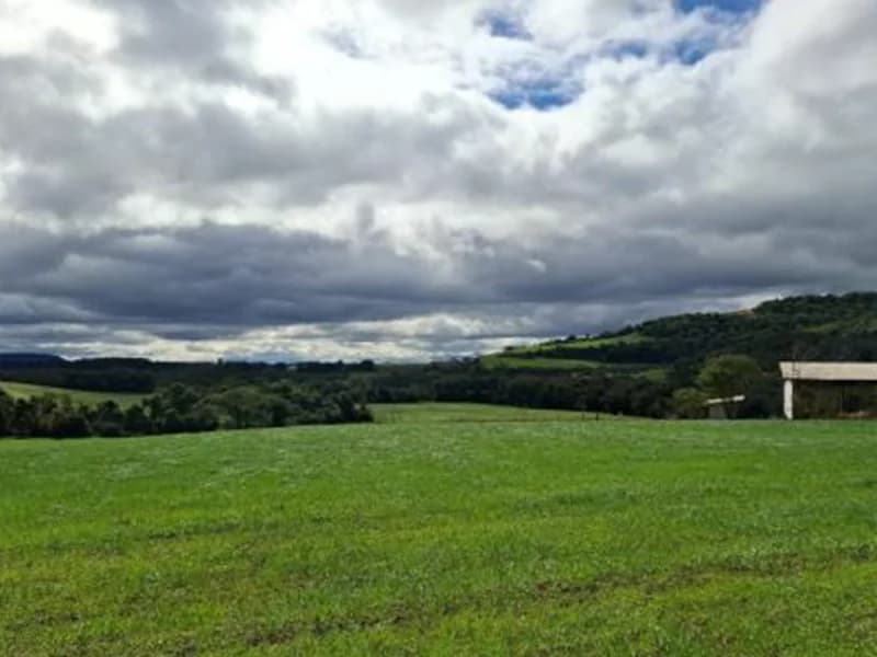 Foto 1 de 8: Terreno em leilão em Pinhal - RS — Terreno - Pinhal - RS