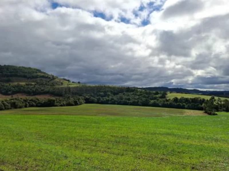Foto 3 de 8: Terreno em leilão em Pinhal - RS — Terreno - Pinhal - RS
