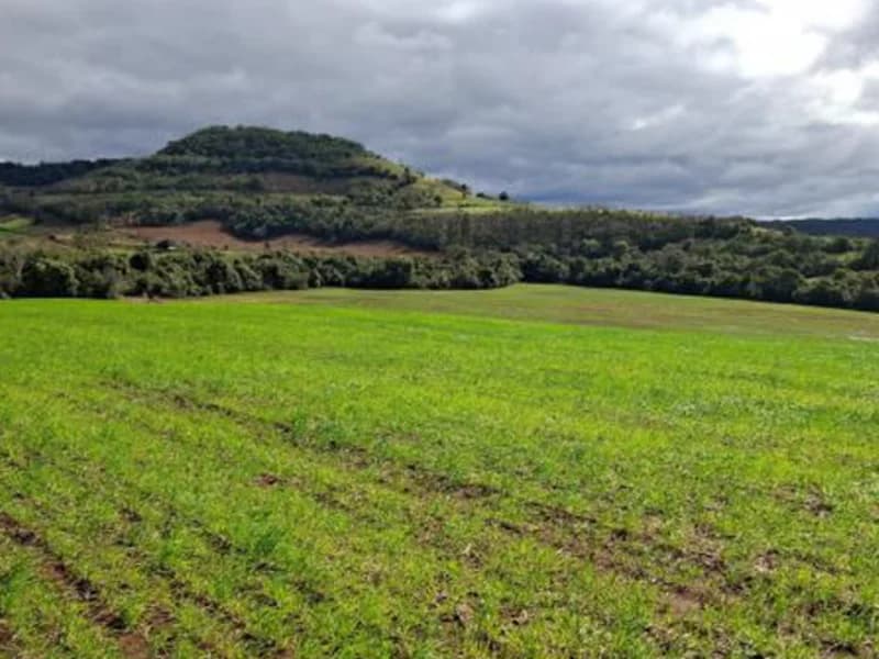Foto 6 de 8: Terreno em leilão em Pinhal - RS — Terreno - Pinhal - RS
