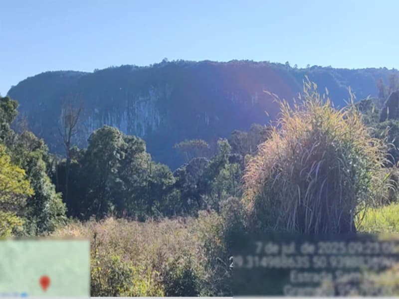 Foto 4 de 6: Area Rural em leilão em Gramado - RS — Fração de terra - Gramado - RS