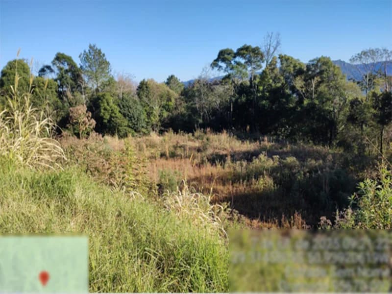 Foto 1 de 6: Area Rural em leilão em Gramado - RS — Fração de terra - Gramado - RS