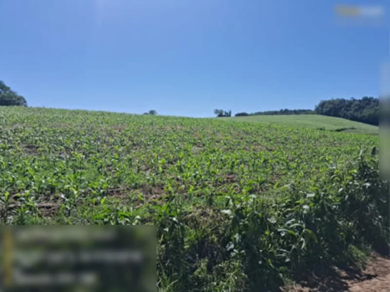 Terreno em leilão em São Paulo Das Missões - RS — Terreno - São Paulo Das Missões - RS