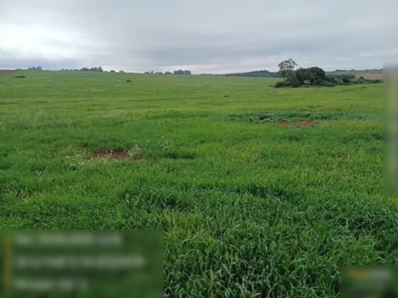 Terreno em leilão em São Miguel Das Missões - RS — Terreno São Miguel Das Missões RS