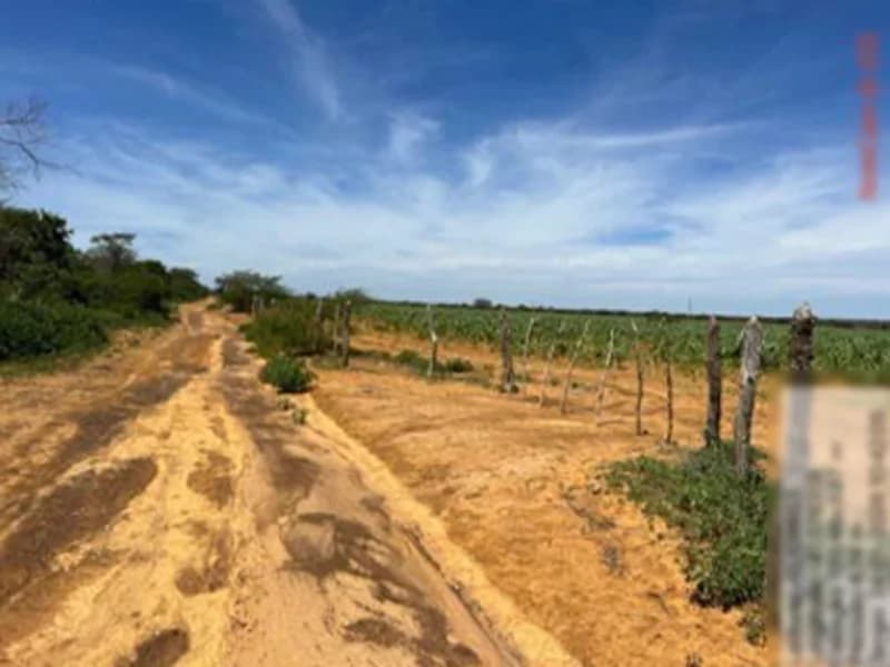 Foto 1 de 16: Terreno em leilão em São Gabriel - BA — Terreno São Gabriel BA
