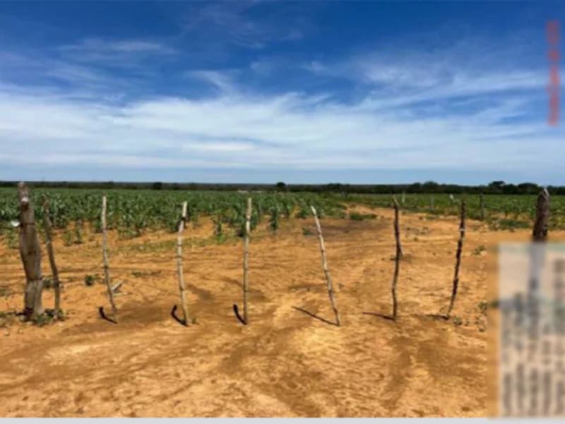 Foto 7 de 16: Terreno em leilão em São Gabriel - BA — Terreno São Gabriel BA