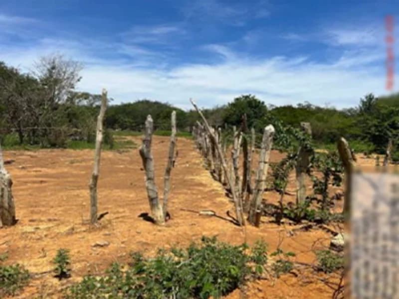 Foto 9 de 16: Terreno em leilão em São Gabriel - BA — Terreno São Gabriel BA
