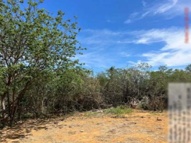 Foto 10 de 16: Terreno em leilão em São Gabriel - BA — Terreno São Gabriel BA