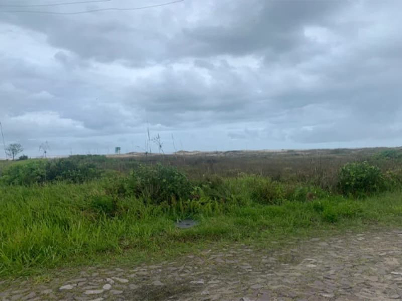 Foto 11 de 12: Terreno em leilão em Terra De Areia - RS — Terreno - Terra de Areia - RS