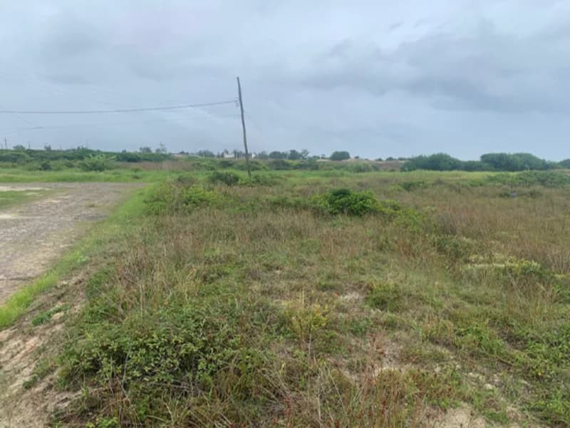 Foto 3 de 12: Terreno em leilão em Terra De Areia - RS — Terreno - Terra de Areia - RS
