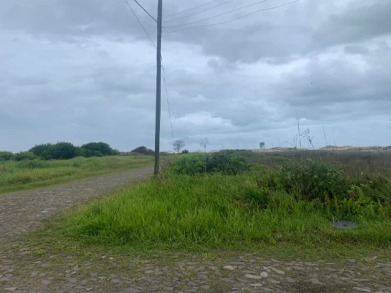 Foto 5 de 12: Terreno em leilão em Terra De Areia - RS — Terreno - Terra de Areia - RS