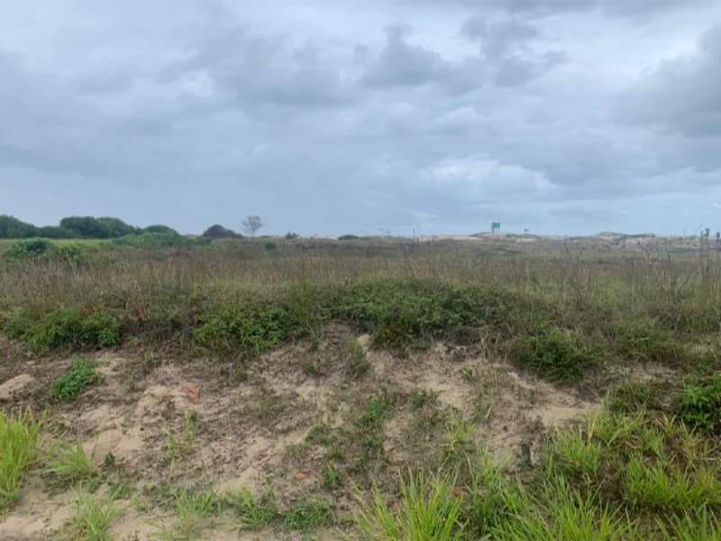 Foto 6 de 12: Terreno em leilão em Terra De Areia - RS — Terreno - Terra de Areia - RS