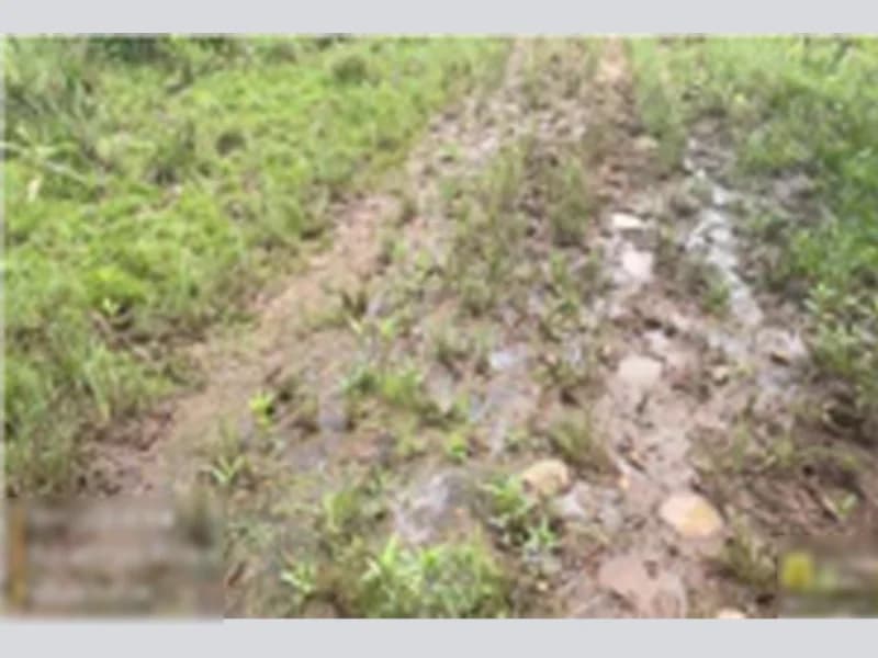Foto 2 de 4: Terreno em leilão em Alegrete - RS — Terreno - Alegrete - RS
