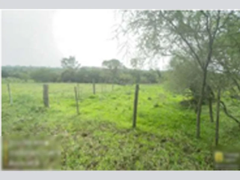 Foto 4 de 4: Terreno em leilão em Alegrete - RS — Terreno - Alegrete - RS