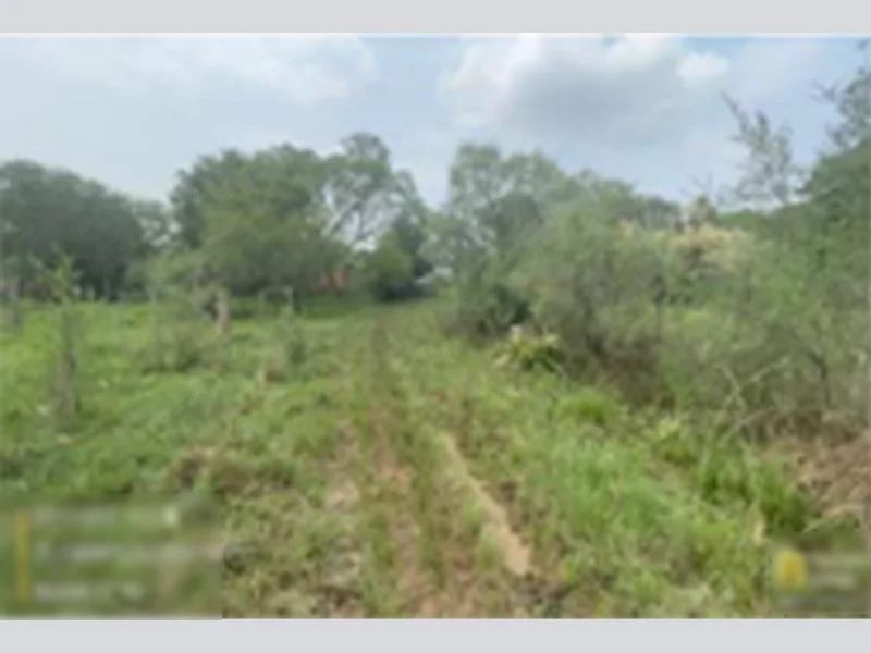 Foto 1 de 4: Terreno em leilão em Alegrete - RS — Terreno - Alegrete - RS