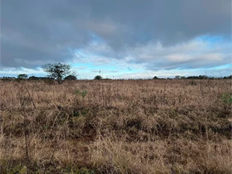 Foto 5 de 11: Terreno em leilão em Alegrete - RS — Terreno - Alegrete - RS