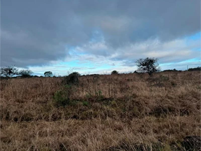 Foto 10 de 11: Terreno em leilão em Alegrete - RS — Terreno - Alegrete - RS