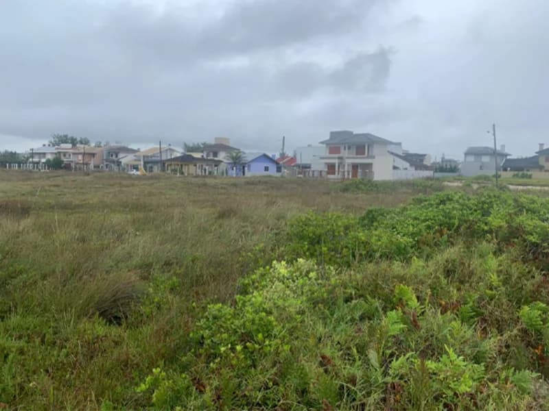Foto 4 de 11: Terreno em leilão em Terra De Areia - RS — Terreno - Terra de Areia - RS