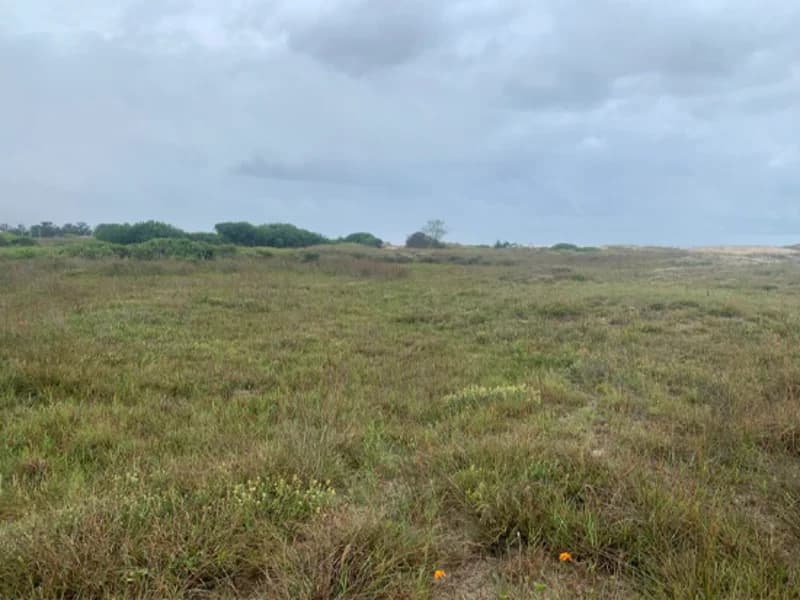 Foto 5 de 11: Terreno em leilão em Terra De Areia - RS — Terreno - Terra de Areia - RS