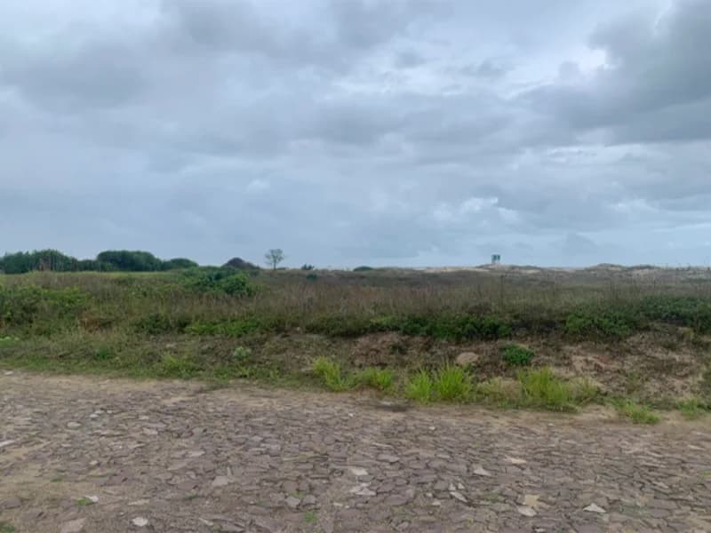 Foto 7 de 11: Terreno em leilão em Terra De Areia - RS — Terreno - Terra de Areia - RS