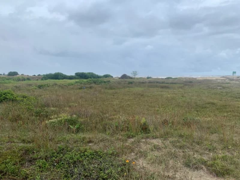 Foto 3 de 11: Terreno em leilão em Terra De Areia - RS — Terreno - Terra de Areia - RS