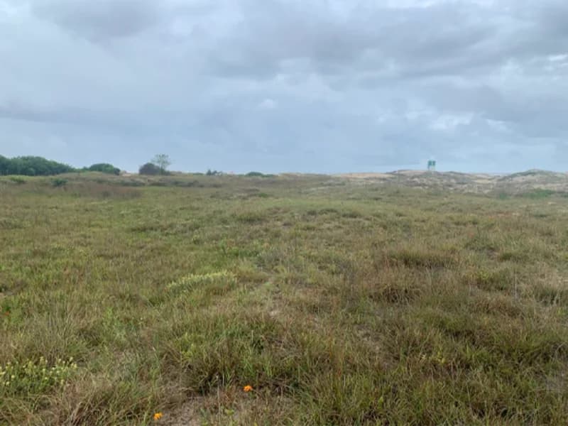 Foto 11 de 11: Terreno em leilão em Terra De Areia - RS — Terreno - Terra de Areia - RS
