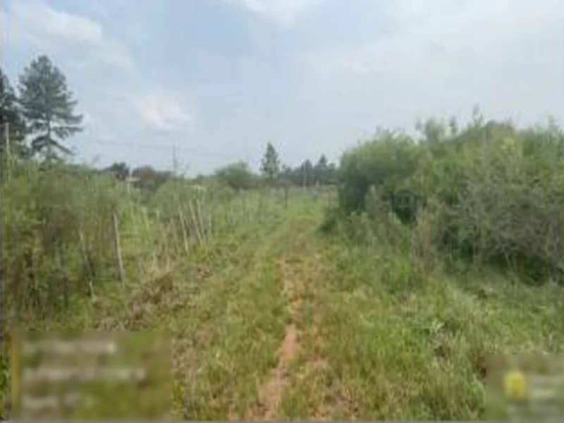 Foto 1 de 3: Terreno em leilão em Alegrete - RS — Terreno - Alegrete - RS