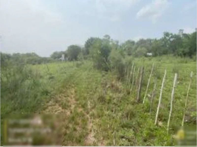 Foto 2 de 3: Terreno em leilão em Alegrete - RS — Terreno - Alegrete - RS