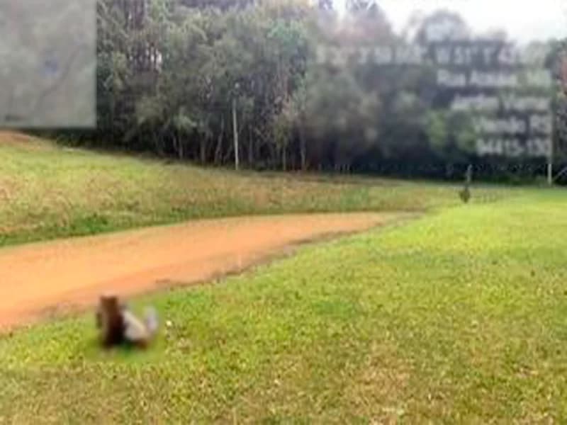 Foto 20 de 20: Terreno em leilão em Viamão - RS — Espaço para eventos - Viamão - RS