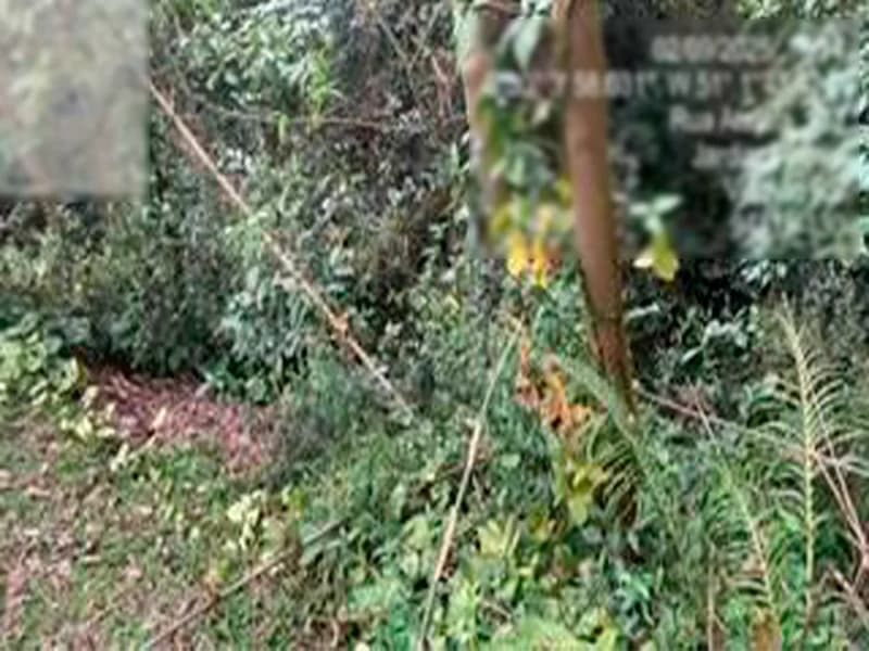 Foto 15 de 20: Terreno em leilão em Viamão - RS — Espaço para eventos - Viamão - RS