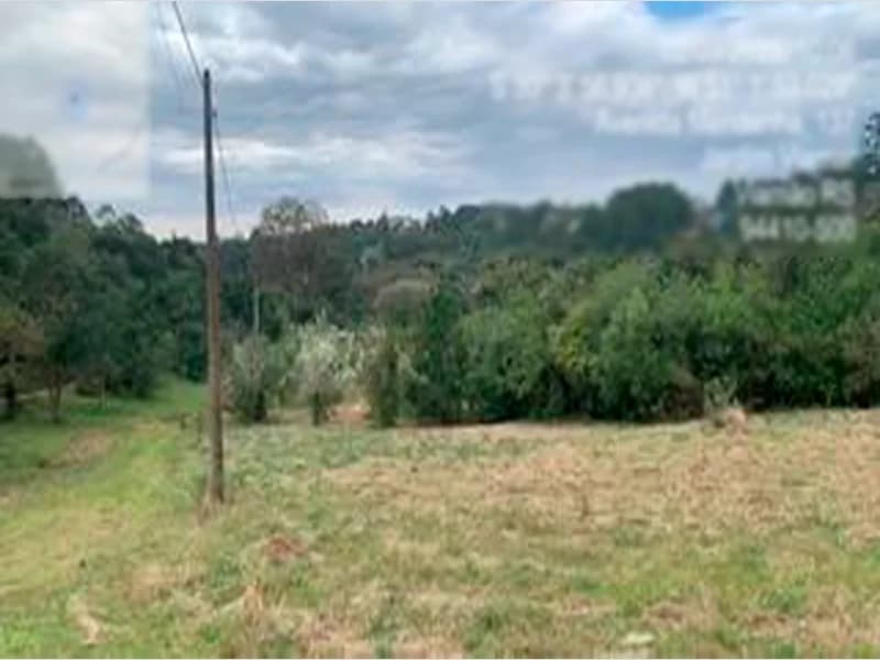 Foto 18 de 20: Terreno em leilão em Viamão - RS — Espaço para eventos - Viamão - RS