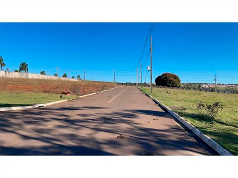 Foto 8 de 46: Terreno em leilão em Pérola - PR — Loteamento - Pérola - PR