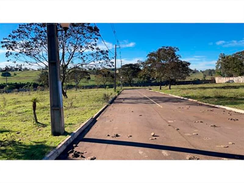 Foto 5 de 46: Terreno em leilão em Pérola - PR — Loteamento - Pérola - PR