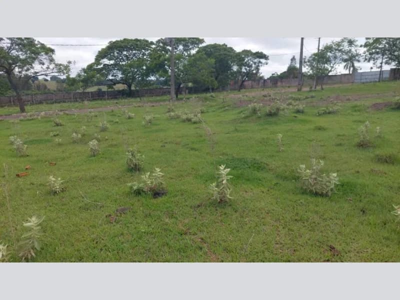 Foto 38 de 46: Terreno em leilão em Pérola - PR — Loteamento - Pérola - PR