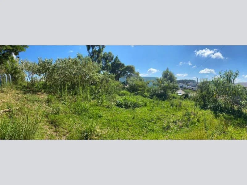 Foto 6 de 6: Terreno em leilão em Erval Grande - RS — Terreno - Erval Grande - RS