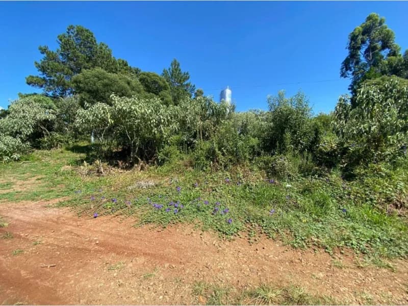 Foto 4 de 6: Terreno em leilão em Erval Grande - RS — Terreno - Erval Grande - RS