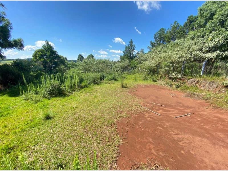 Foto 1 de 6: Terreno em leilão em Erval Grande - RS — Terreno - Erval Grande - RS
