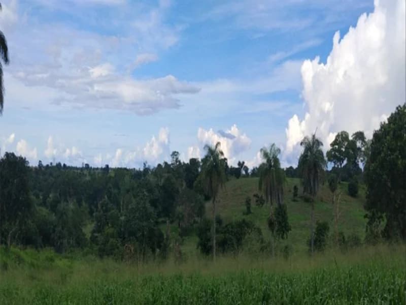 Foto 7 de 9: Area Rural em leilão em Sítio Novo - MA — Terreno Sítio Novo MA