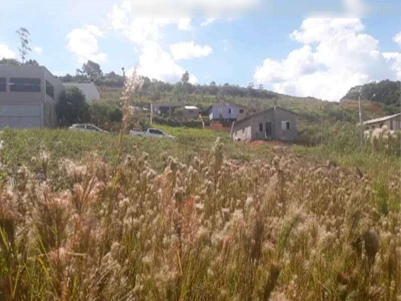 Foto 6 de 13: Terreno em leilão em Francisco Beltrão - PR — Terreno - Francisco Beltrão - PR