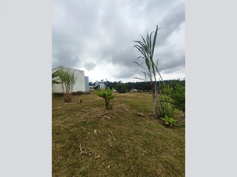 Foto 1 de 5: Terreno em leilão em Frederico Westphalen - RS, bairro Faguense — Terreno - Frederico Westphalen - RS