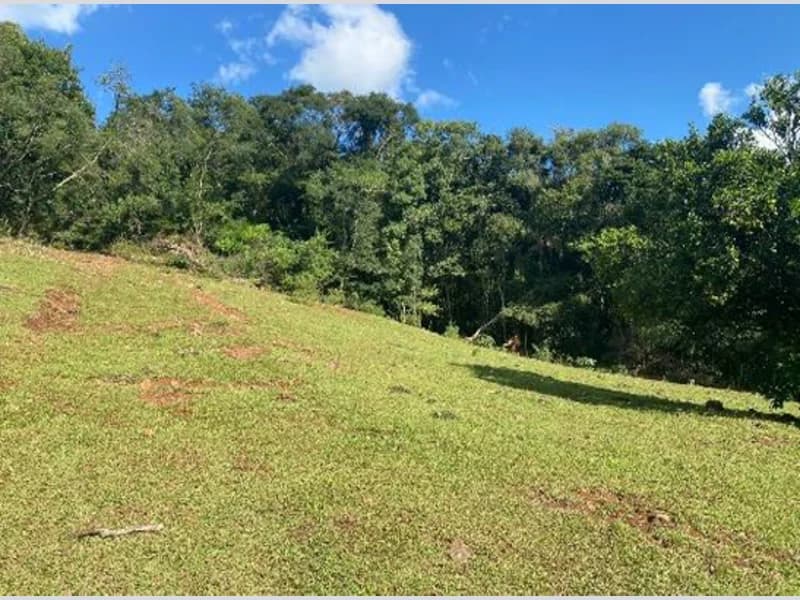 Foto 2 de 9: Terreno em leilão em Xaxim - SC — Terreno - Xaxim - SC