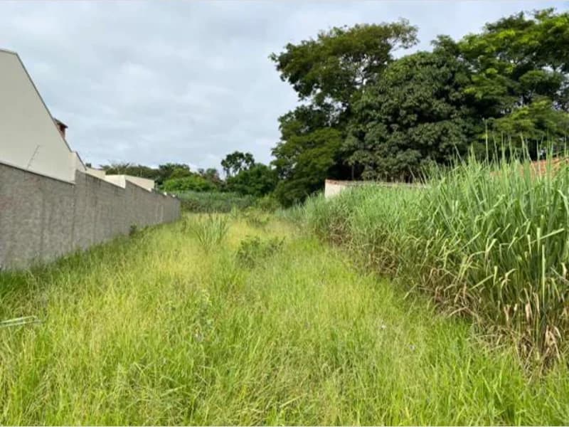 Foto 8 de 8: Terreno em leilão em Mogi Mirim - SP, bairro Aterrado — Terreno - Mogi Mirim - SP