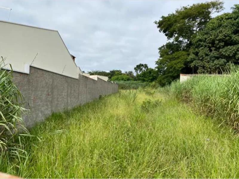 Foto 6 de 8: Terreno em leilão em Mogi Mirim - SP, bairro Aterrado — Terreno - Mogi Mirim - SP