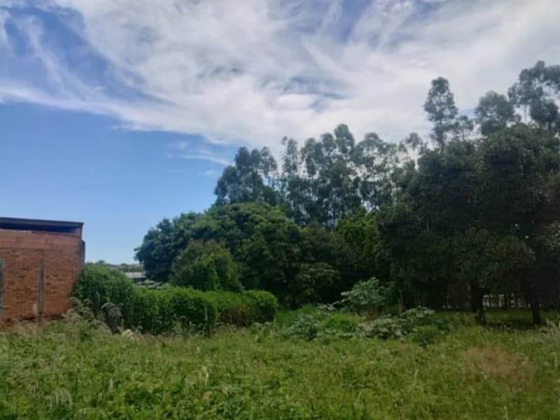 Foto 4 de 7: Terreno em leilão em Leme - SP, bairro Centro — Terreno - Leme - SP