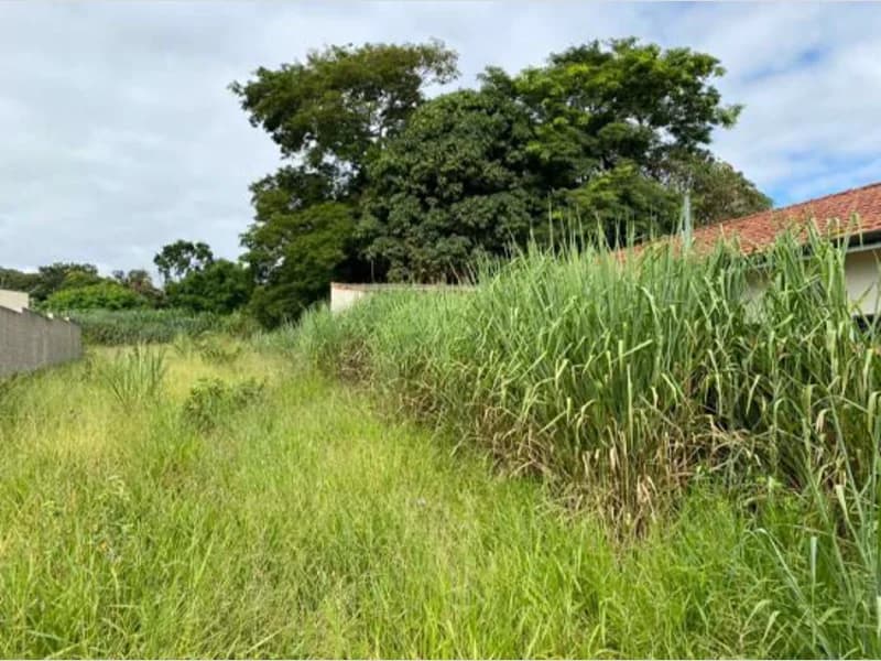 Foto 7 de 8: Terreno em leilão em Mogi Mirim - SP, bairro Aterrado — Terreno - Mogi Mirim - SP