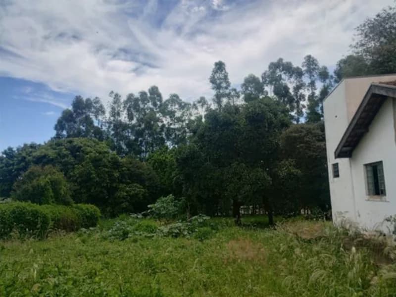Foto 6 de 7: Terreno em leilão em Leme - SP, bairro Centro — Terreno - Leme - SP