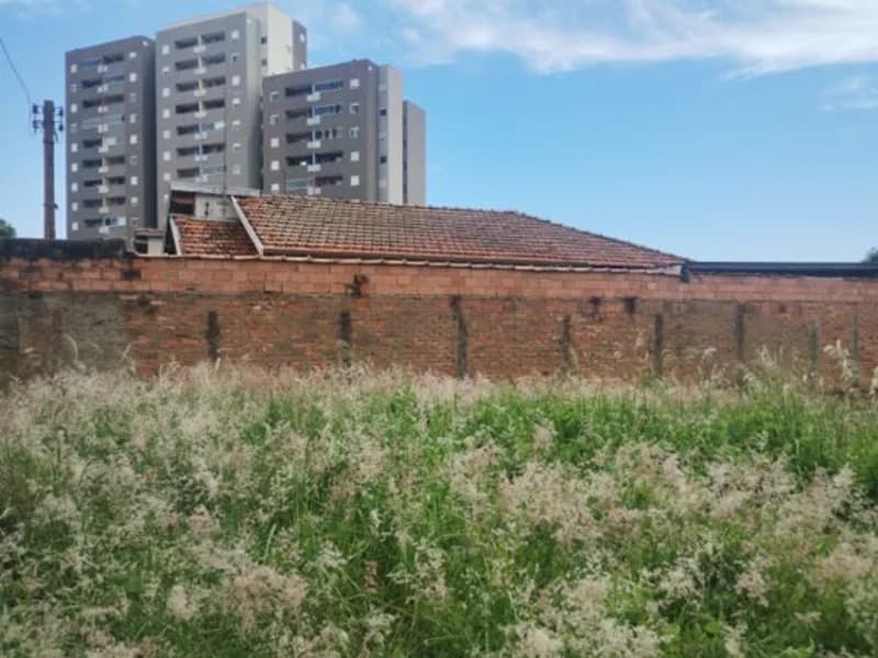 Foto 7 de 7: Terreno em leilão em Leme - SP, bairro Centro — Terreno - Leme - SP