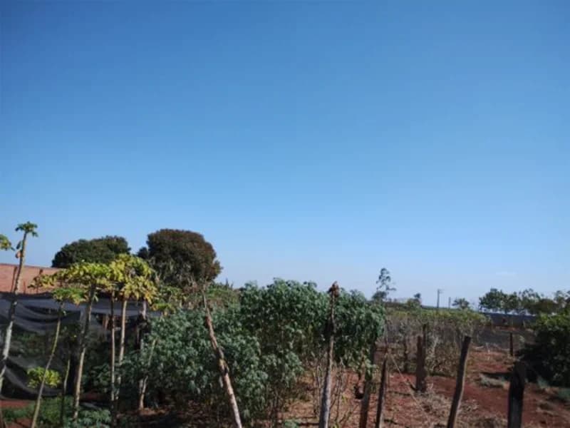 Foto 6 de 6: Terreno em leilão em Casa Branca - SP, bairro Lagoa Branca — Terreno - Casa Branca - SP