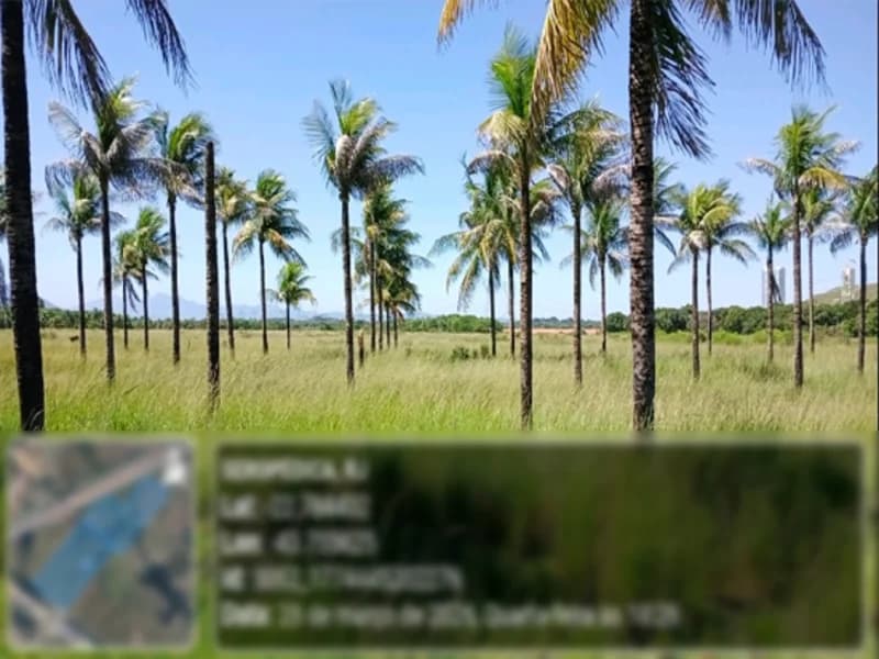 Foto 4 de 12: Terreno em leilão em Seropédica - RJ — Terreno - Seropédica - RJ
