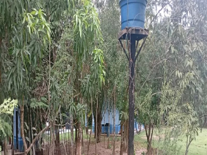 Foto 8 de 16: Terreno em leilão em Espigão D'oeste - RO — Terreno Espigão D'oeste RO