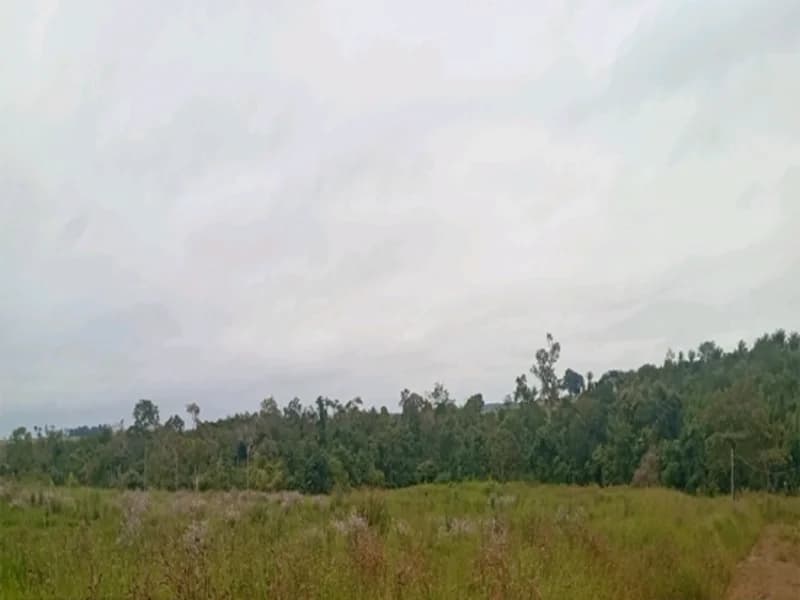 Foto 4 de 16: Terreno em leilão em Espigão D'oeste - RO — Terreno Espigão D'oeste RO